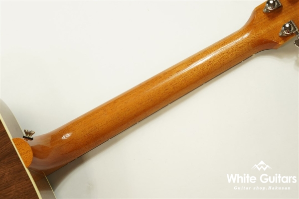 Hummingbird Studio - Walnat Burst